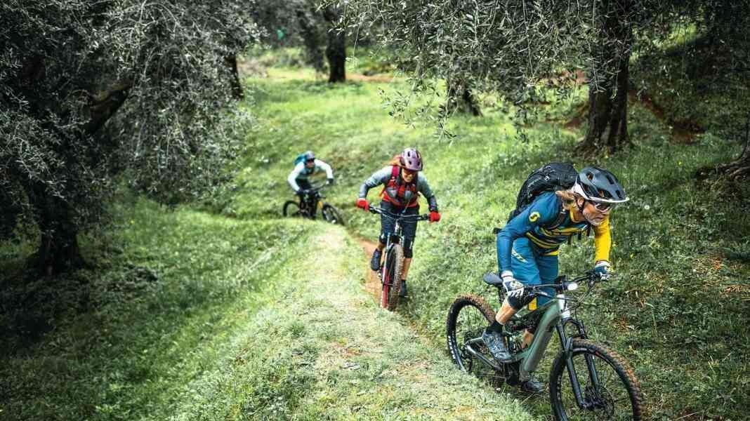 7 E-Touren-Allrounder im Labor- und Praxistest