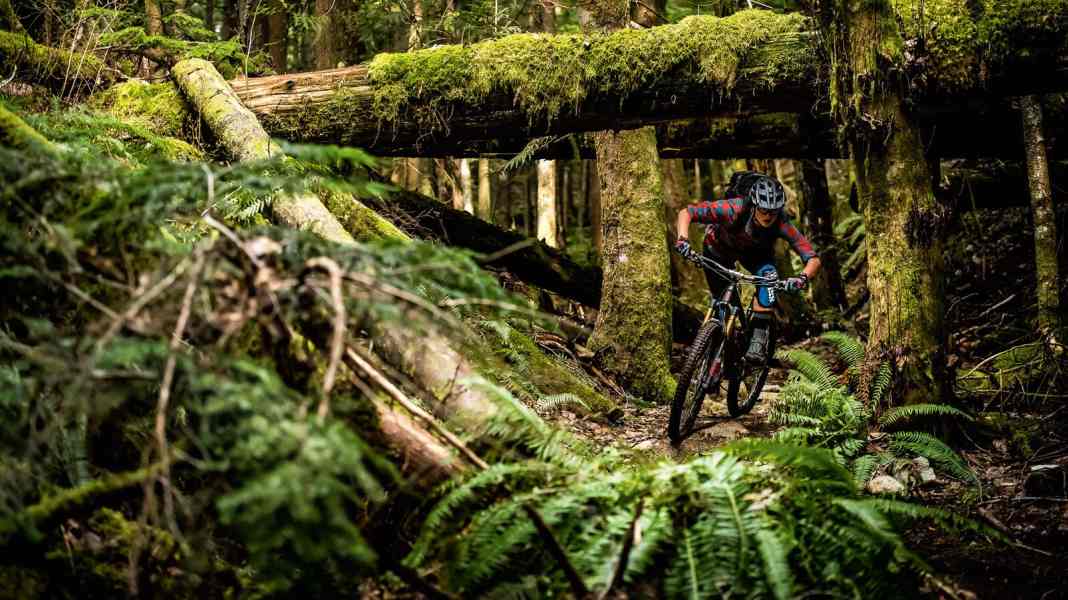 Squamish: Steffi Marth in trail paradise