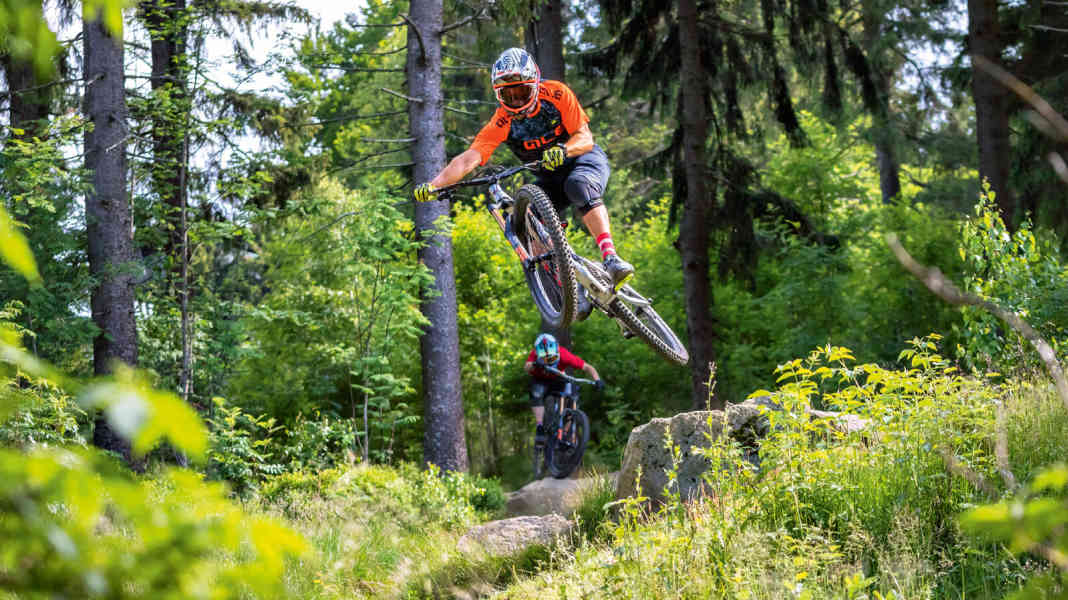 All-rounders: 8 freeriders in comparison