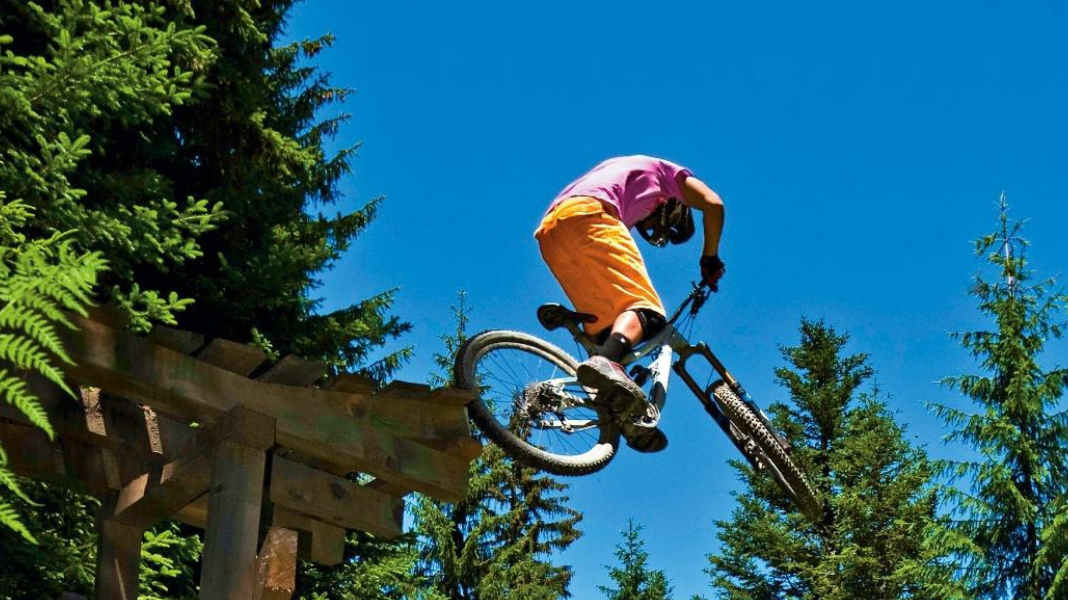 4 latecomers compare themselves to the Canyon Torque