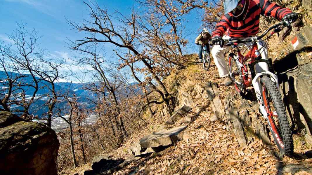 Trail kings