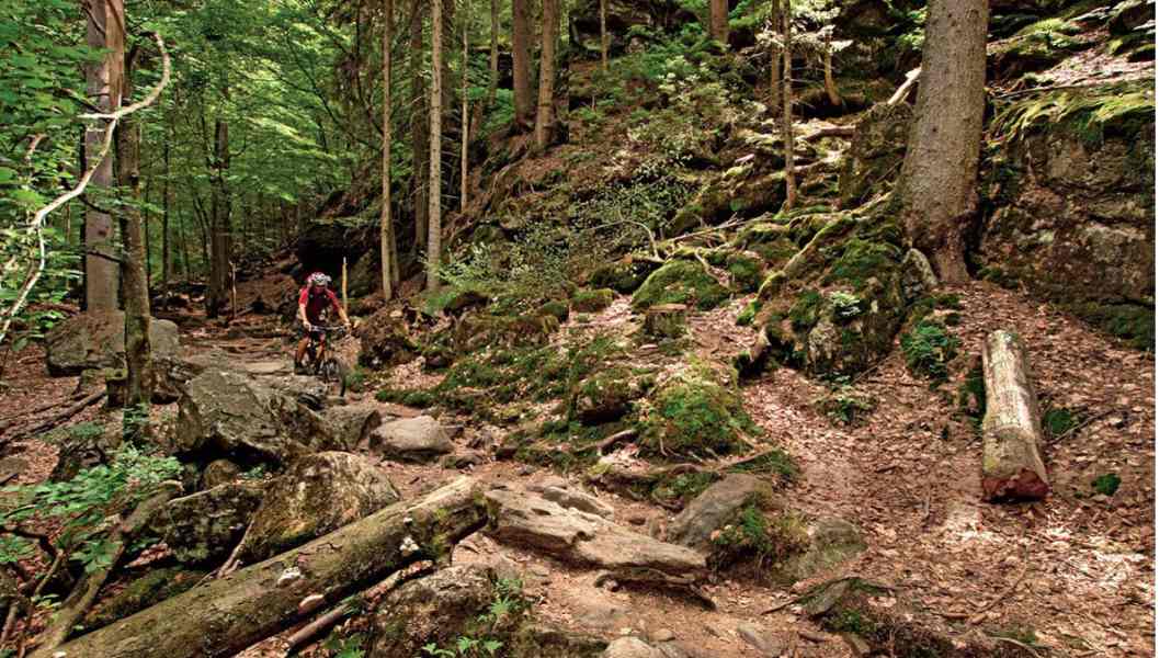 Germany: Bavarian Forest
