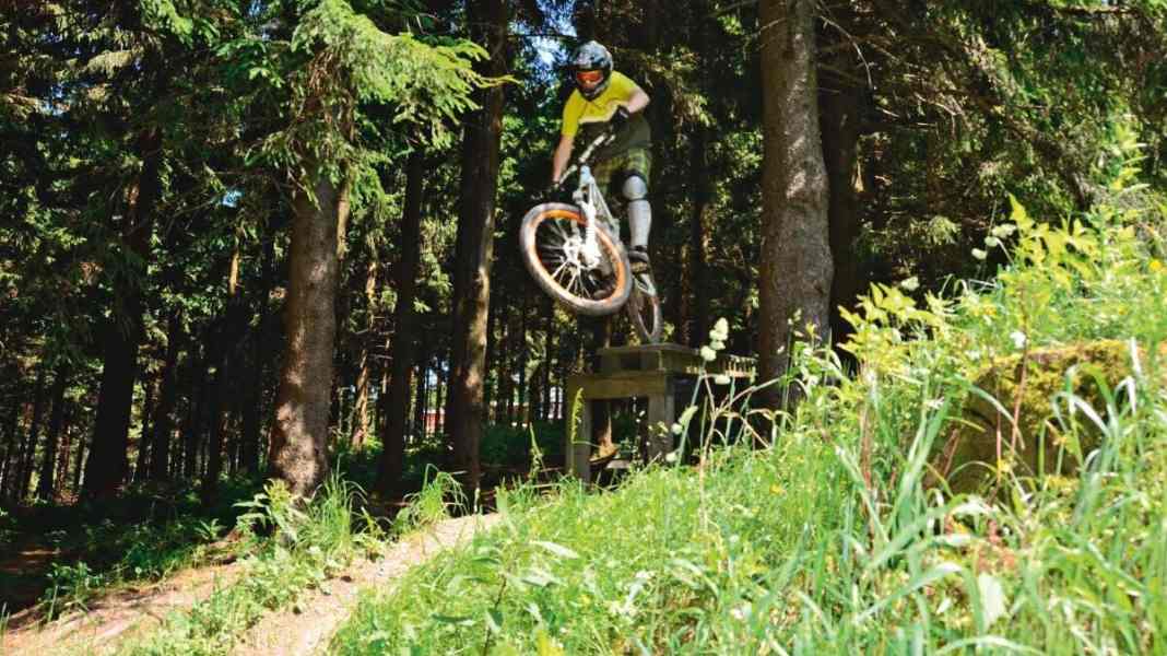 Bikepark-Test: Wurzelpurzel