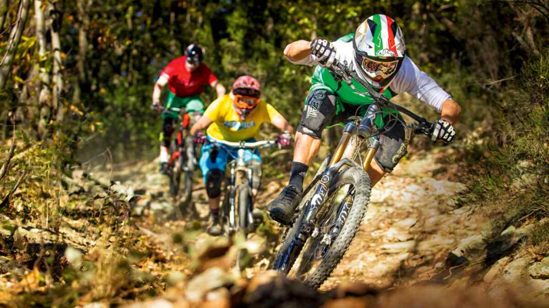 9 Versenderbikes im Vergleichstest