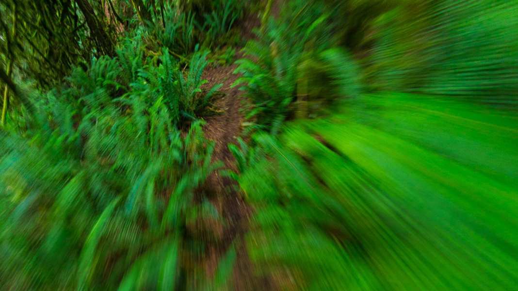 Das können die Flow-Trails in unserem Test