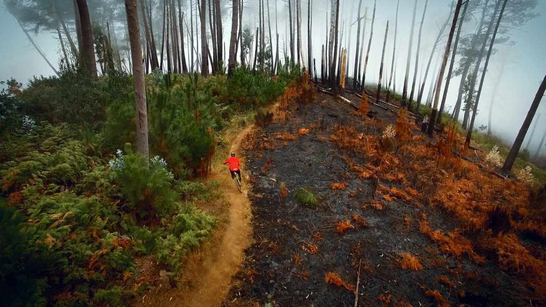 Pure happiness: 5 trails you have to ride!