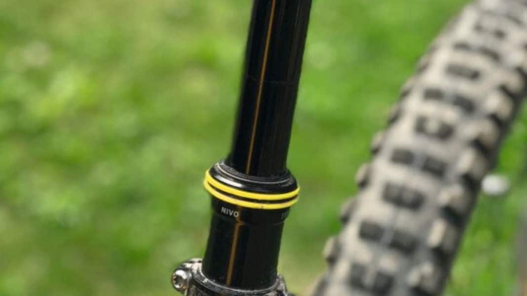Reliable support: Vecnum Nivo