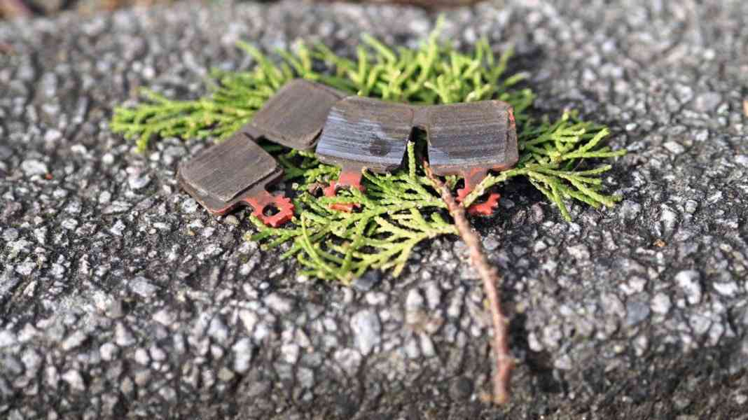 Hot iron: Trickstuff brake pads in the test