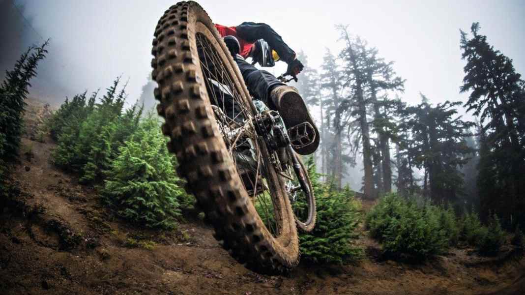 Floor-standing: 8 tyre combos in comparison