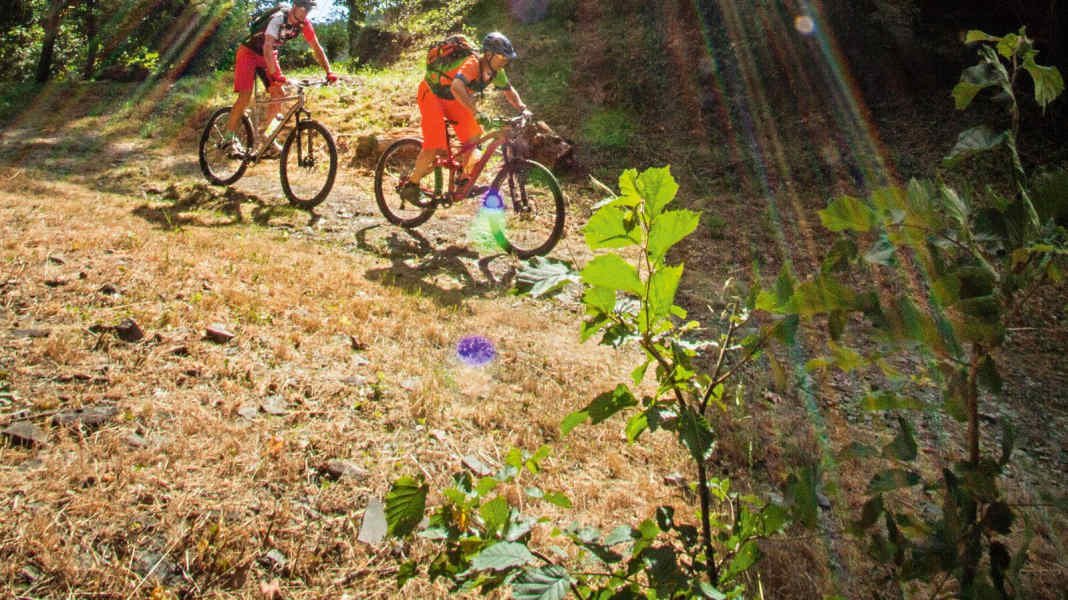 3 Mittelgebirgs-Touren im Westerwald für Mountainbiker