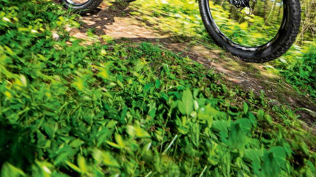 Falkenjagd Teleon B+ gegen Pilot Locum B+