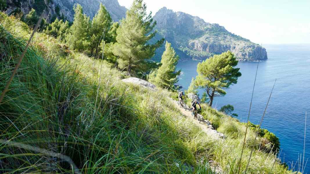 Mountain bike trail tour on Mallorca, olé!