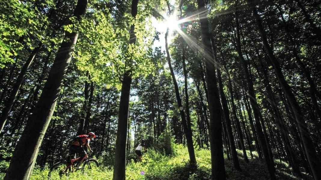 The most beautiful single trails in the Teutoburg Forest
