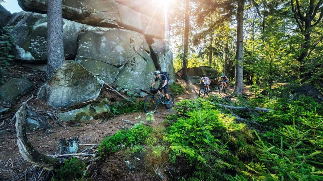 The 14 best mountain bike trails in Germany