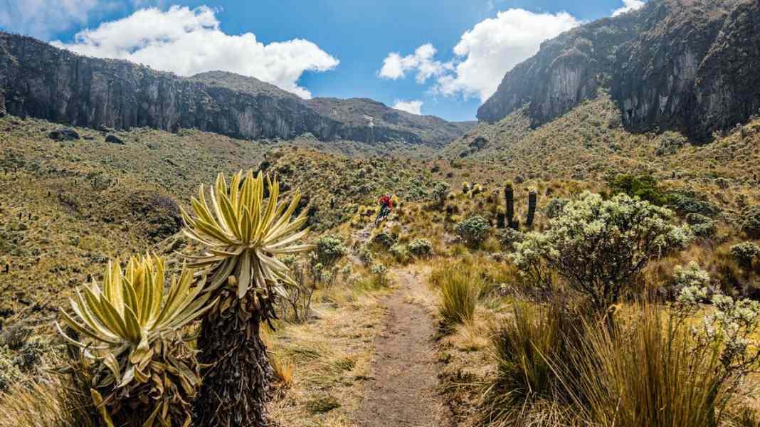Colombia: A journey of discovery in South America