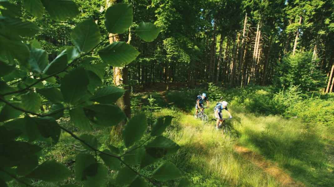 Odenwald: Mountain bike tour incl. GPS data