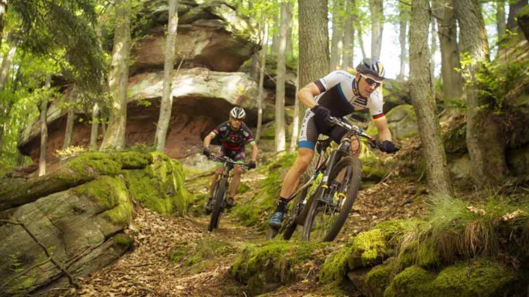 Professional area: Karl Platt's home trails