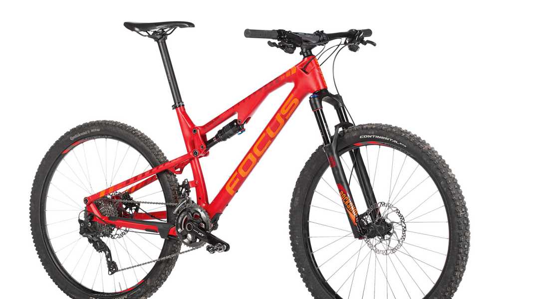 Focus Spine C Pro in the test