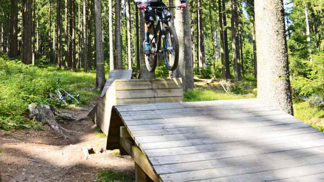Bikepark Braunlage in the big comparison test