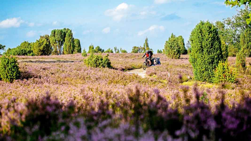 A gentle tour in the far north: Biking with a child