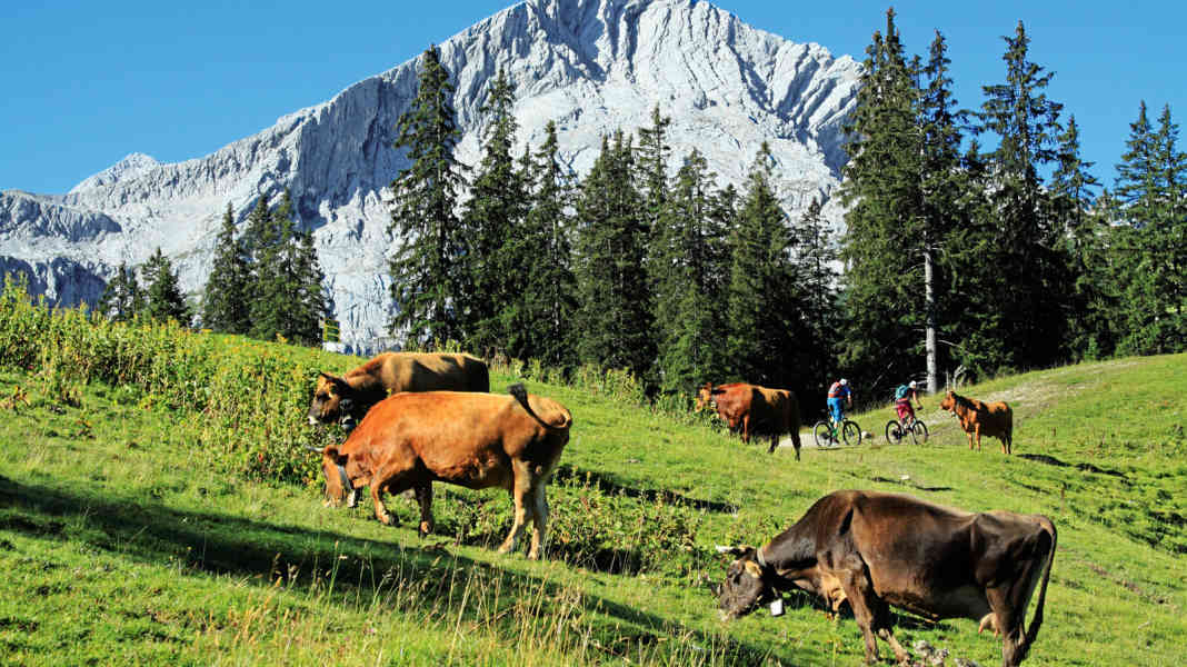 MTB Transalp as a coaching zone: Recharge your batteries between Garmisch and Nauders