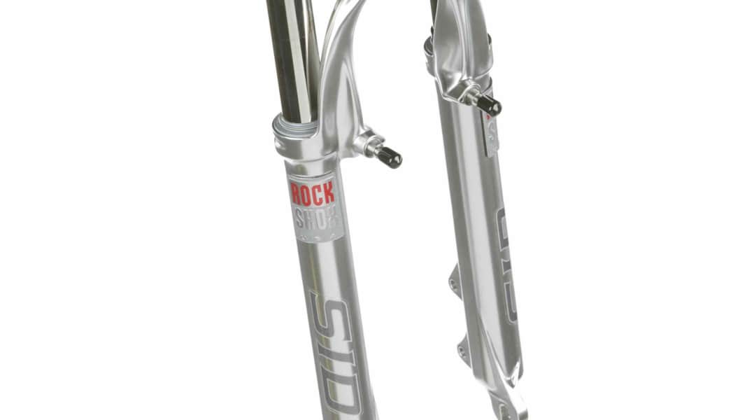 Rattling noises from the fork?