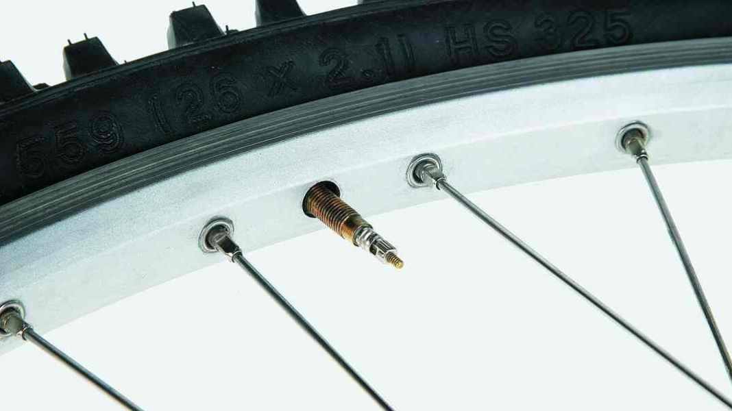 The right valve