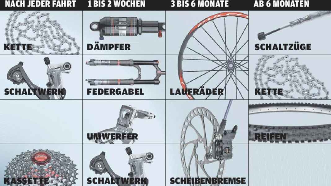 Maintenance intervals for your bike