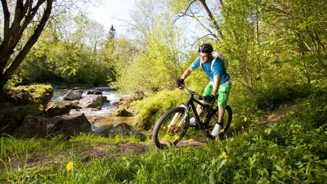 Germany: Bridge Trail in Garching an der Alz