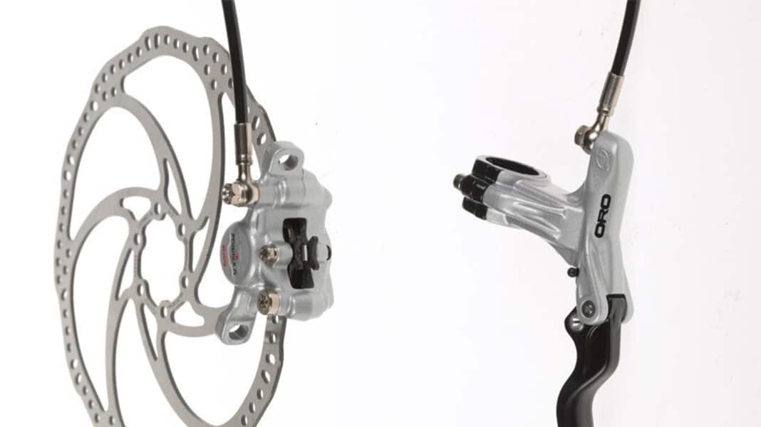 The brake disc rings
