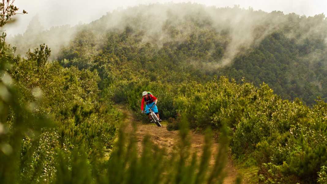Canary Islands: La Palma