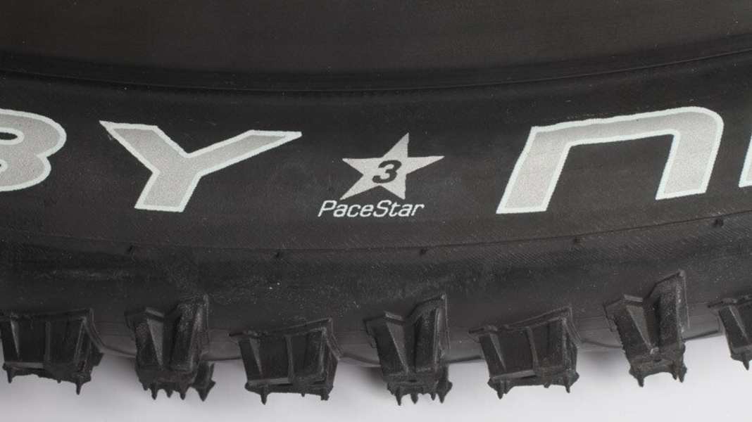 Schwalbe Evolution, Performance & Active: What is it?