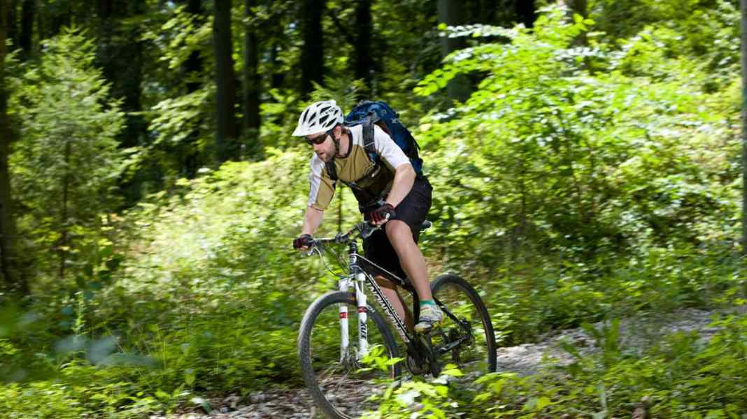 Endurance test: Bergamont Revox 9.1