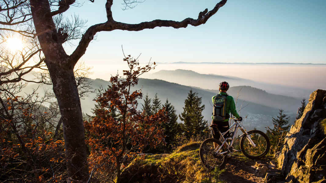 Bike-Reviere im Vergleich: Schwarzwald vs. Pfälzerwald