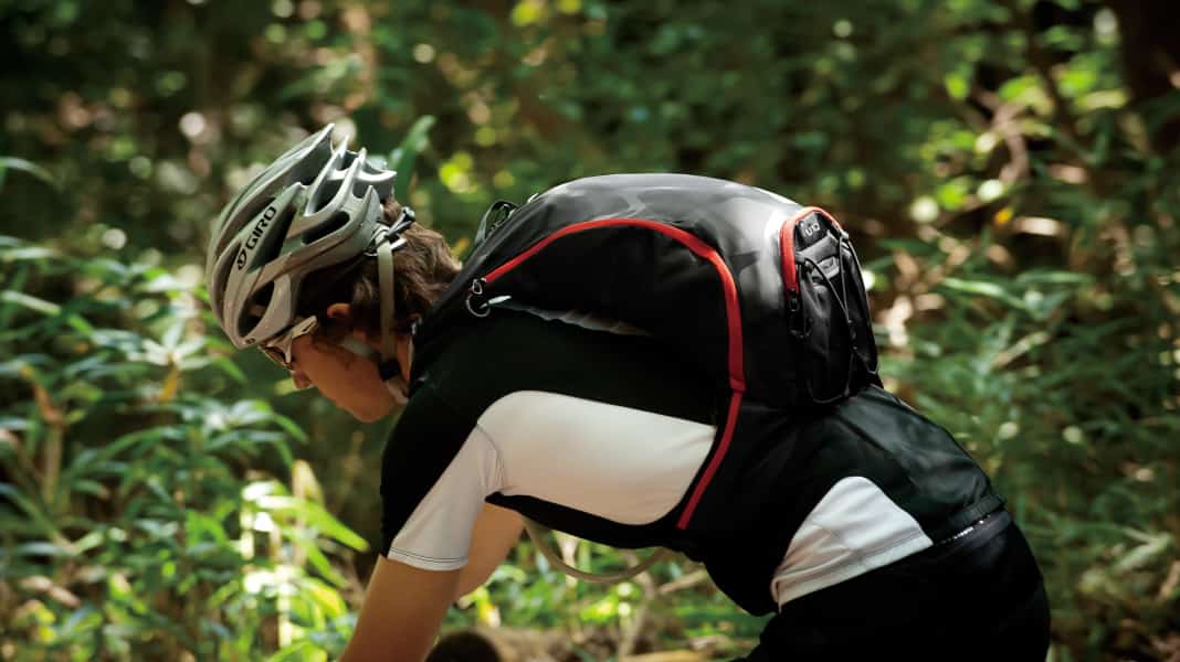 Shimano for the back