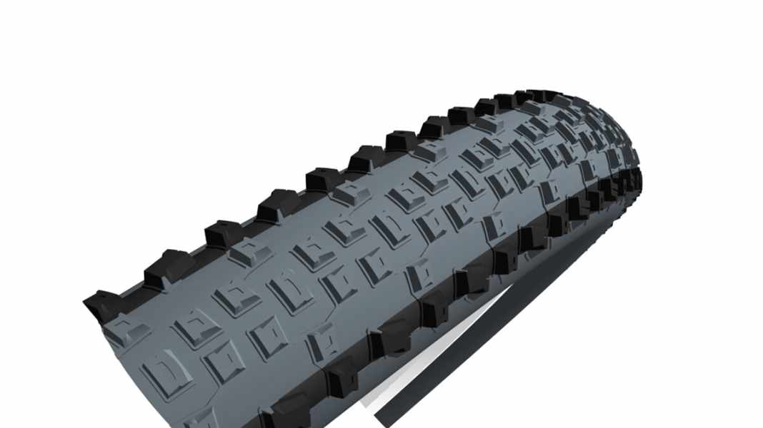 Schwalbe Rapid Rob tyres