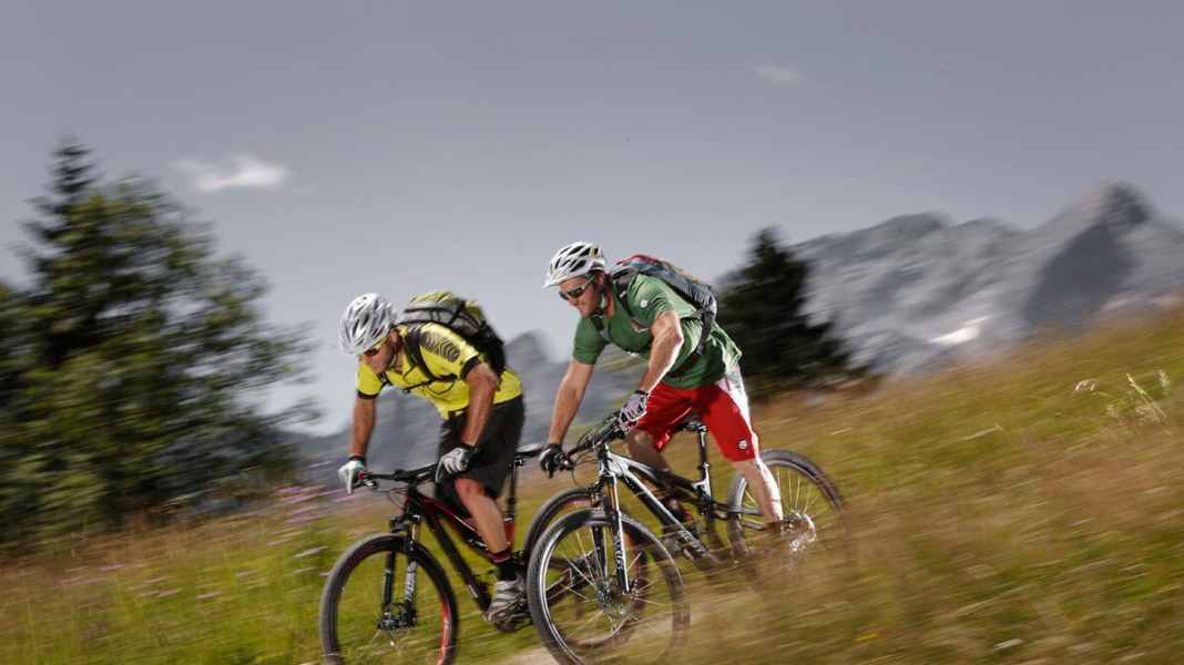 Scott Genius 910 vs Specialized S-Works Stumpjumper FSR Carbon 29