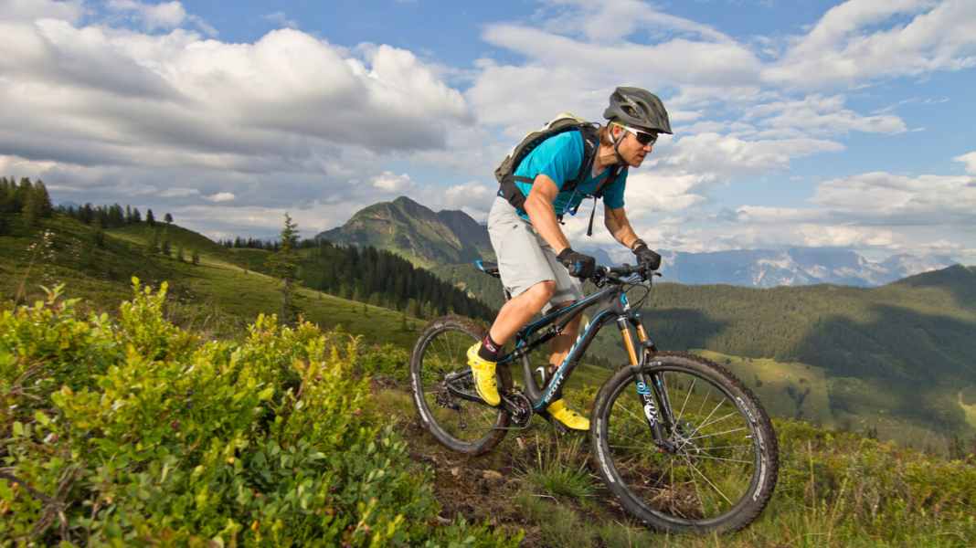 Test Special: Die besten Bikes 2013