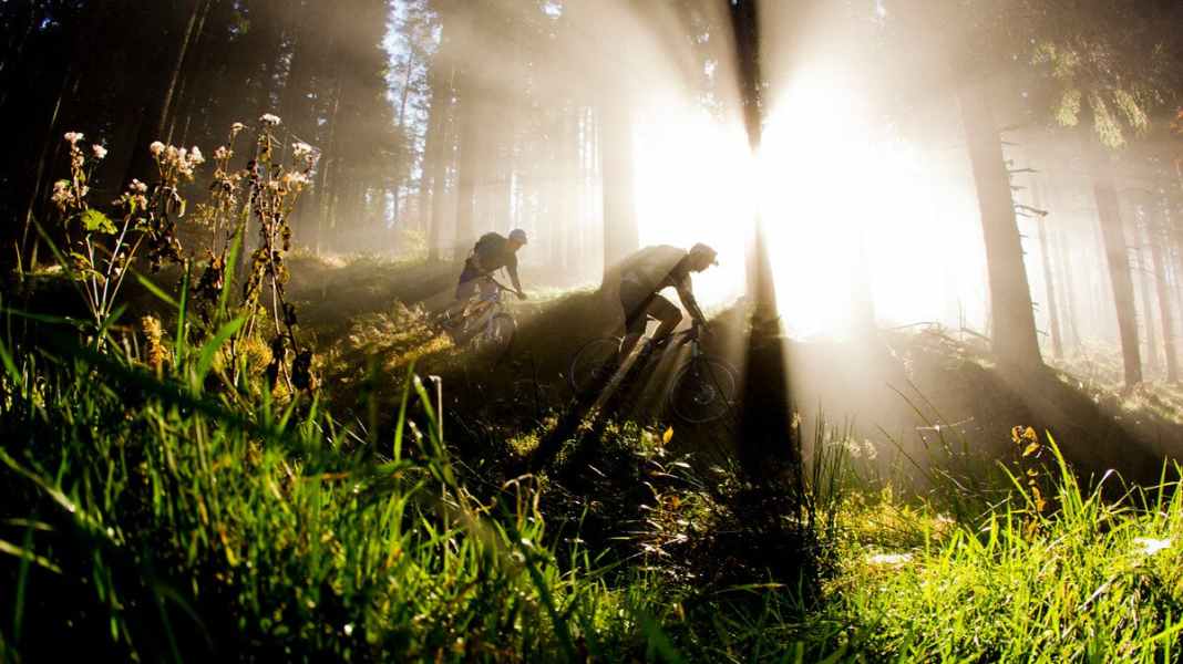 The best mountain bike trails and spots in the Black Forest