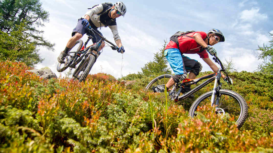 Comparison 26 vs 29 inch: Specialized Stumpjumper FSR Expert Carbon Evo