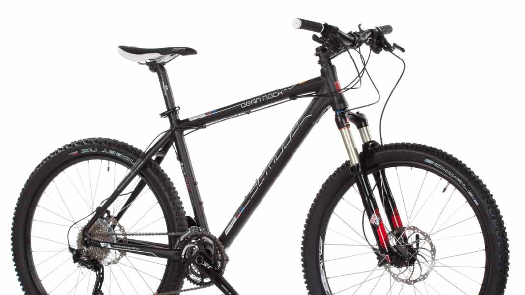 Serious Bear Rock from Fahrrad.de put to the test