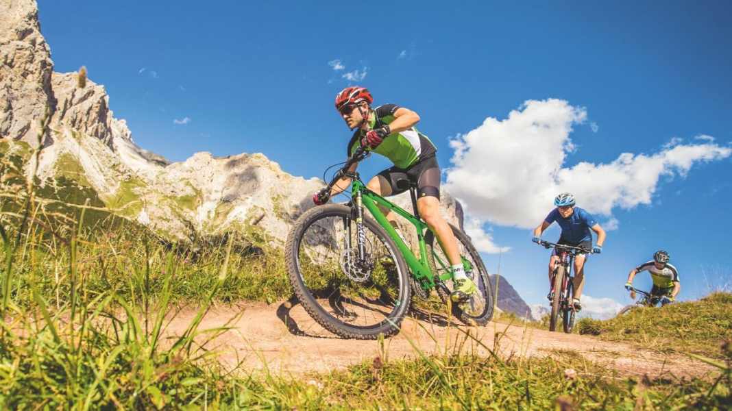 What are carbon hardtails under 2000 euros good for?