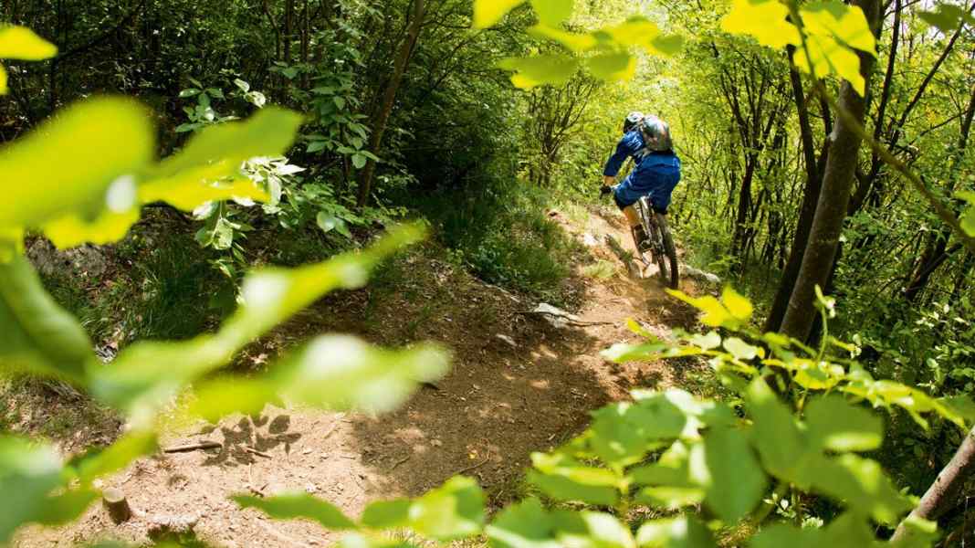 Anaconda-Trail: Flowiger Singletrail am Gardasee