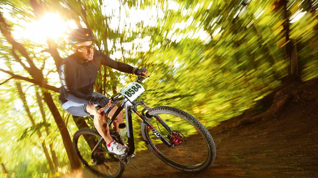Lightweight noble tourer: Bergamont Fastlane