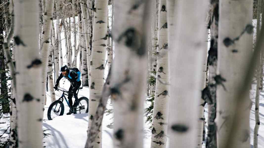 Warm und trocken: 8 Softshell-Jacken im Vergleich