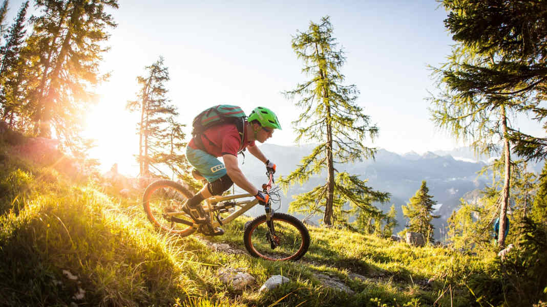 Saalachtal: Nature that moves