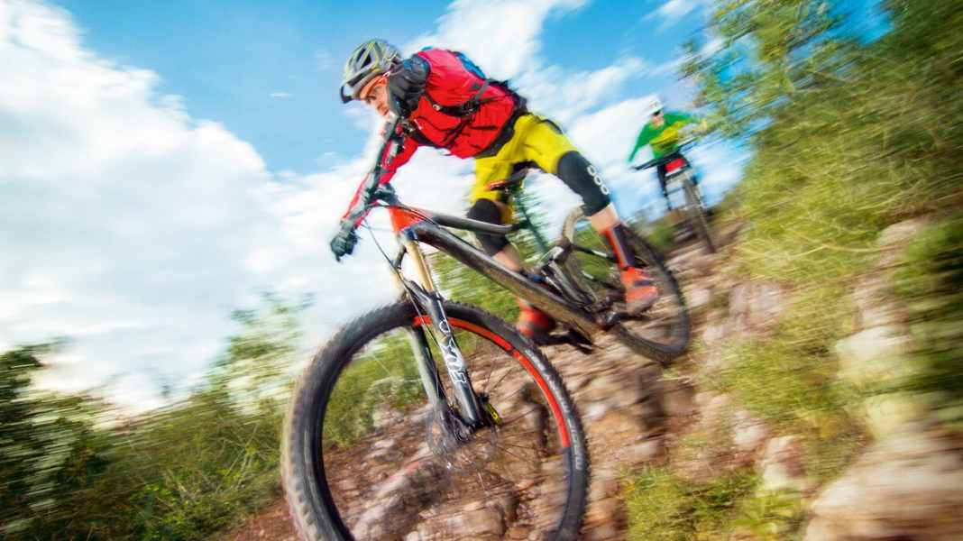 29 inch: All mountain and cross country forks in the test