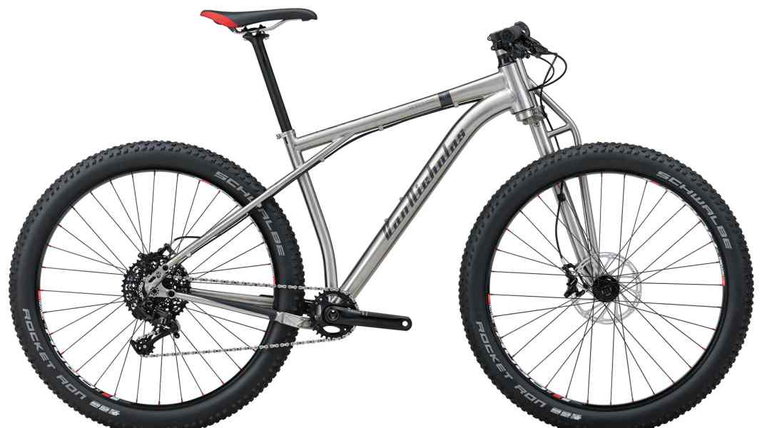 Titanium bike with plus tyres and single-arm titanium fork