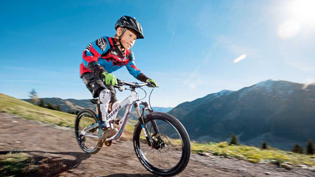 Children's bikes: test, market overview, buying tips, tuning
