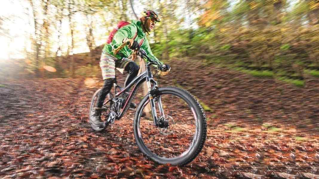 Long-term test of the Norco Sight Killer B